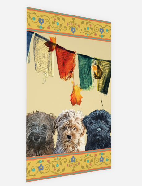 Tibetan Feature / 2026 Art Card Edition